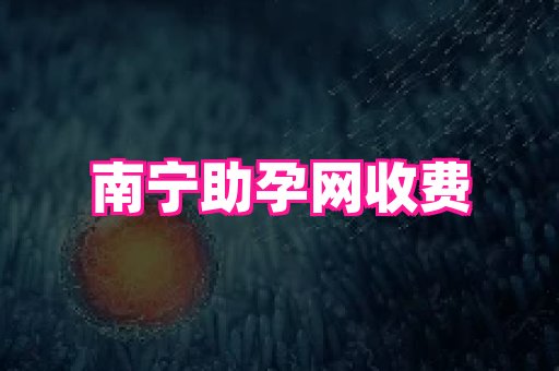 swisee孕网 1