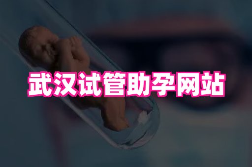 swisee孕网 3
