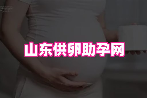 swisee孕网 4